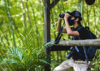 Conozca los emprendimientos que buscan la reactivación en Santa Marta