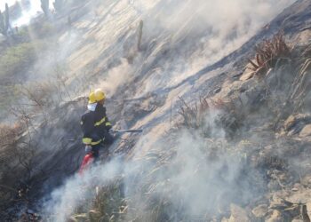 Altas temperaturas provocaron incendio en el Morro: Dimar