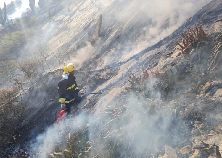 Altas temperaturas provocaron incendio en el Morro: Dimar