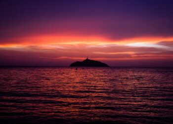 Por un 2022 más promisorio en la tierra del olvido