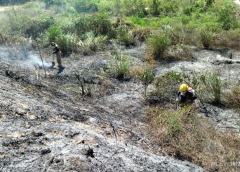 Corpamag alerta y previene por efectos de la temporada seca en el Magdalena
