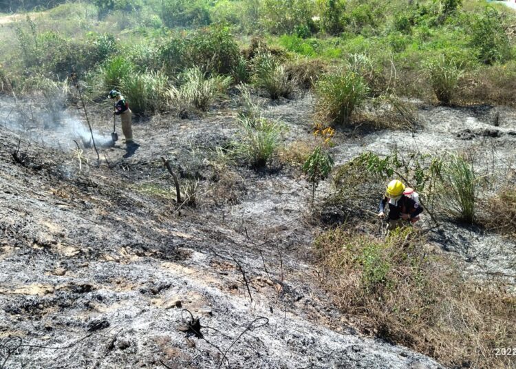 Corpamag alerta y previene por efectos de la temporada seca en el Magdalena