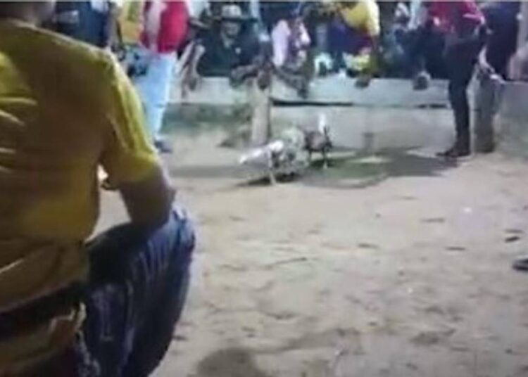 $10 millones por responsables de triple crimen en Guamal