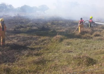 Incendio deja daños ambientales en el sur del Magdalena