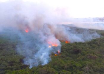 Las acciones para evitar incendios en la Isla Salamanca