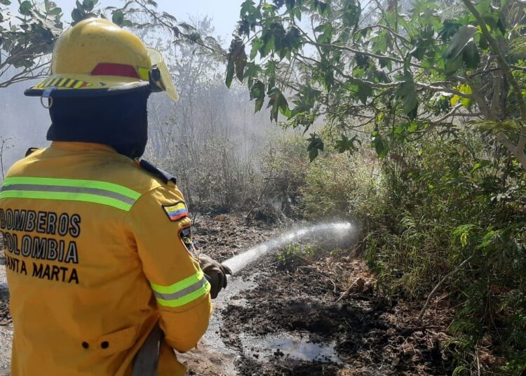 Van 81 incendios forestales en Santa Marta en lo que va de 2022