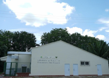 El laboratorio que permite el control fitosanitario en la Zona Bananera
