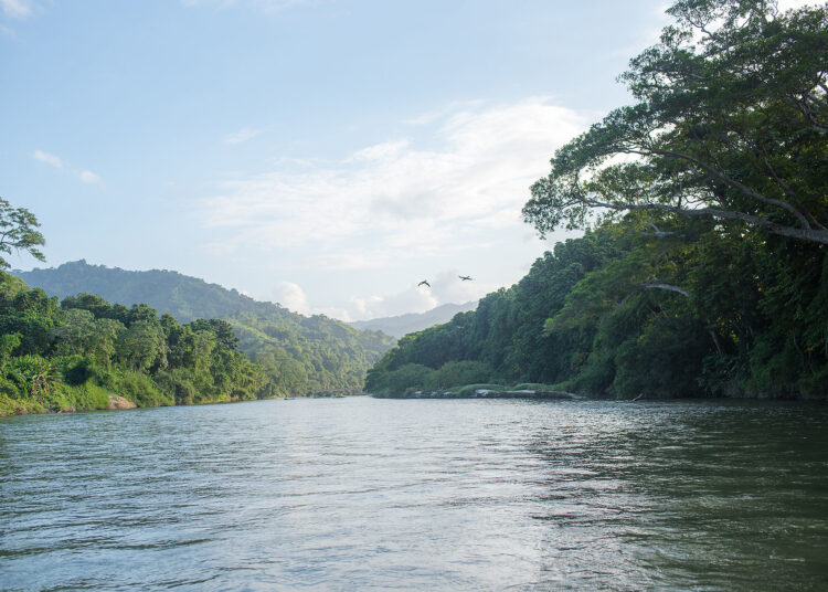 Seis planes para conectarse con la naturaleza en Santa Marta