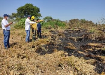 Se quemaron 60 hectáreas de pasto y rastrojo en Aracataca