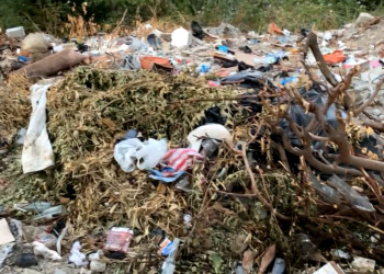 Johnson denuncia que Essmar presuntamente incumplió en recolección de escombros