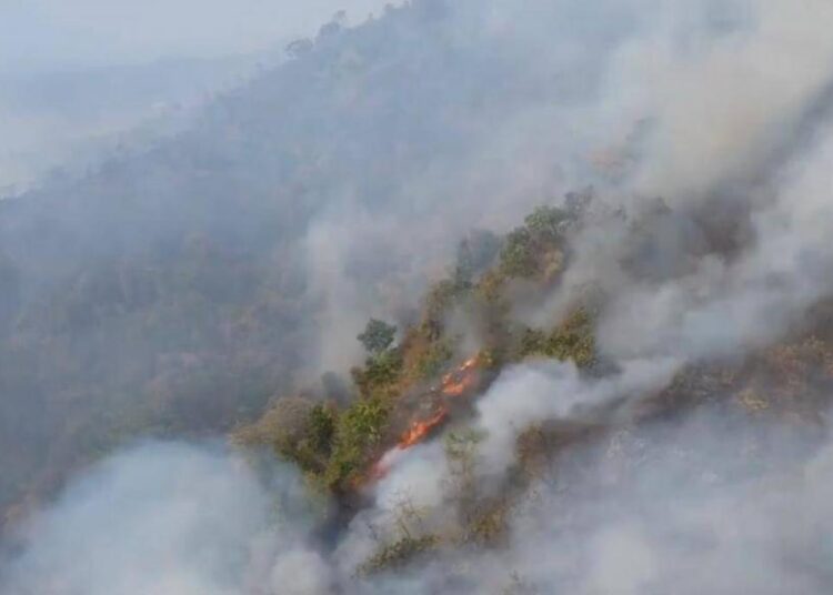 Reportan incendio forestal en la Sierra Nevada de Santa Marta