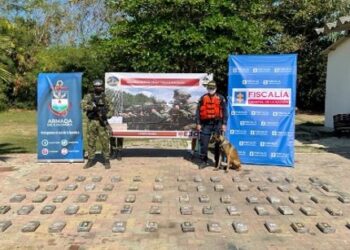 Decomisaron casi dos toneladas de cocaína en Sitionuevo