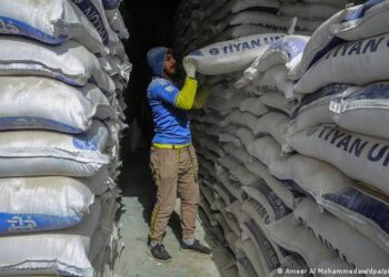 Récord mundial del precio de los alimentos por la guerra en Ucrania