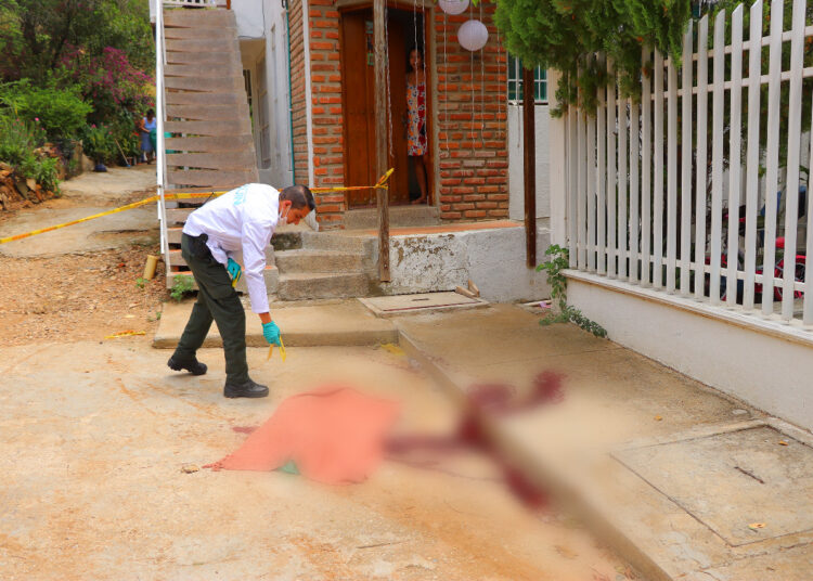 Deploran acto de maltrato contra un canino en conjunto residencial