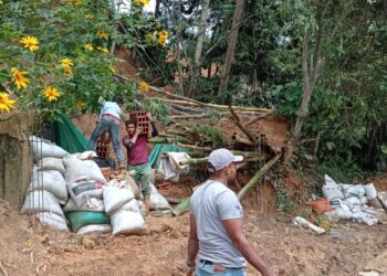 Una solución a la problemática del acueducto en Palmor