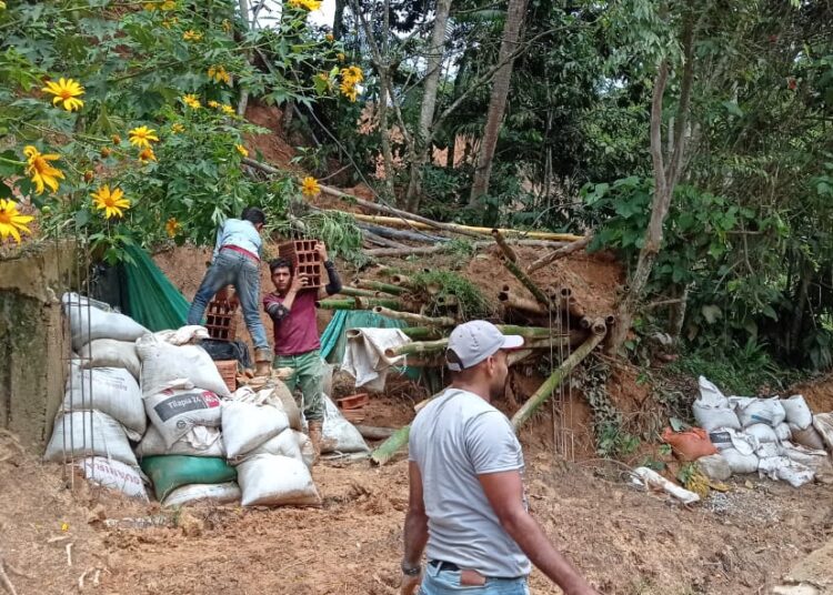 Una solución a la problemática del acueducto en Palmor