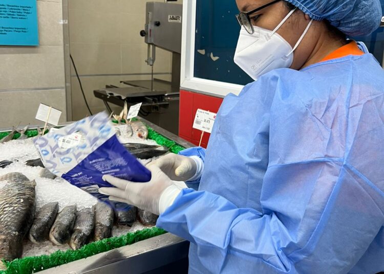 Controles a establecimientos que expenden pescados y mariscos en Santa Marta