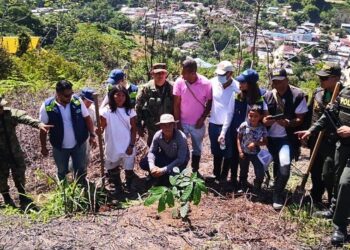 Siembran 150 árboles en Palmor de la Sierra