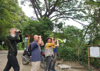 Santa Marta se unió a la gran jornada de avistamiento de aves