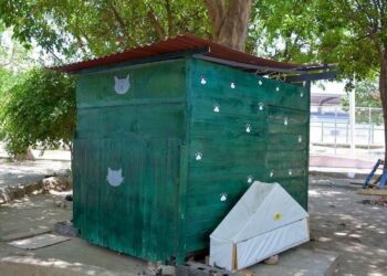 Los gatos de la Villa Bolivariana ya cuentan con un refugio
