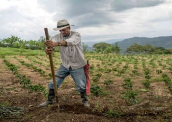 Comerciantes del sector agropecuario se están preparando para diciembre