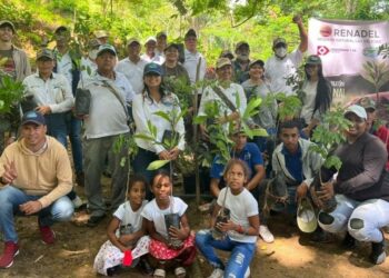 Siembran 2.500 árboles en reserva forestal del municipio de Aracataca