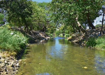 Hallan cadáver de un hombre en el río Manzanares