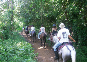 Los arrieros anuncian que no dejarán de hacer paseos a caballo en el Parque Tayrona