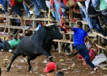 En Aracataca, el alcalde «no puede decir» si habrá o no corralejas