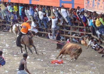 Proponen abolir corralejas y recuperar juegos tradicionales en el Magdalena