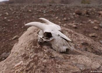 América se seca y quizás nunca vuelva a llover como antes