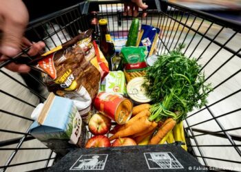 Inflación de EE.UU. alcanza su mayor nivel desde 1981