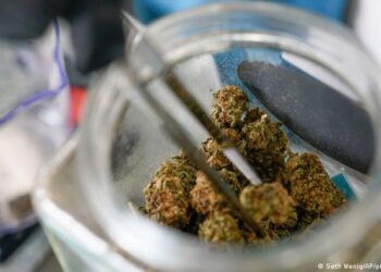 Consumidores de marihuana son más propensos a necesitar atención de urgencia y hospitalización, según estudio