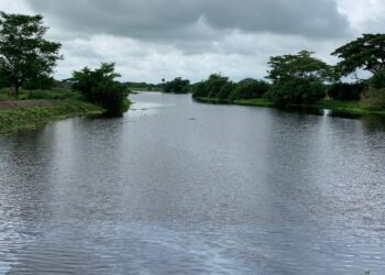 Así avanzan las obras de mantenimiento en el caño Vicente Caballero