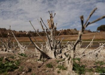 América Latina sedienta: los estragos de la sequía