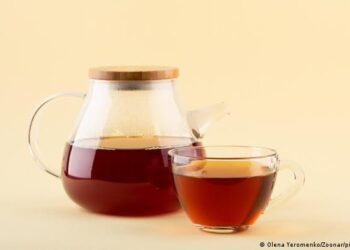 Amplio estudio relaciona el consumo de té negro con un menor riesgo de mortalidad