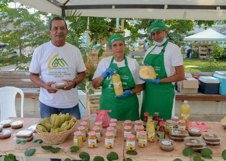 El apoyo a los agricultores del Magdalena para convertirse en empresarios rurales