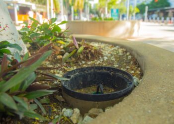 Los actos vandálicos le pasan factura al camellón de El Rodadero