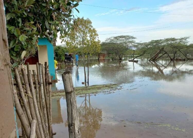 Compuertas del Renegado no son causa de inundaciones en Remolino: Corpamag
