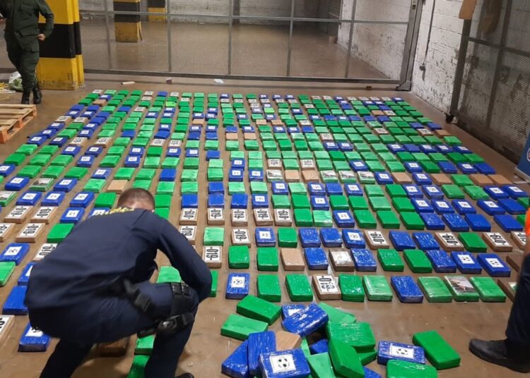 Gracias a un canino incautaron 1.6 toneladas de cocaína en Santa Marta