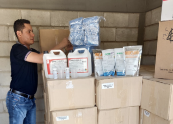 Destinan $975 millones para 399 productores bananeros del Magdalena