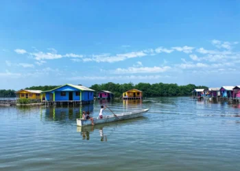 ¿En qué consiste la planta de tratamiento para la Ciénaga Grande?