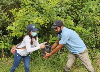 En Día de la Biodiversidad, Corpamag ratifica protección de la fauna y flora