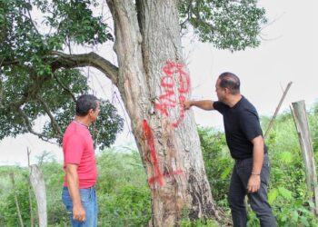 Alcalde de Plato denuncia presunto plan para invadir fincas productivas