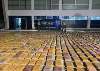 Caen 5 toneladas de coca en puertos de Santa Marta y Barranquilla