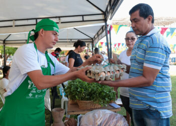 ‘Magdalena Tierra de Agricultores’ estará en Pivijay