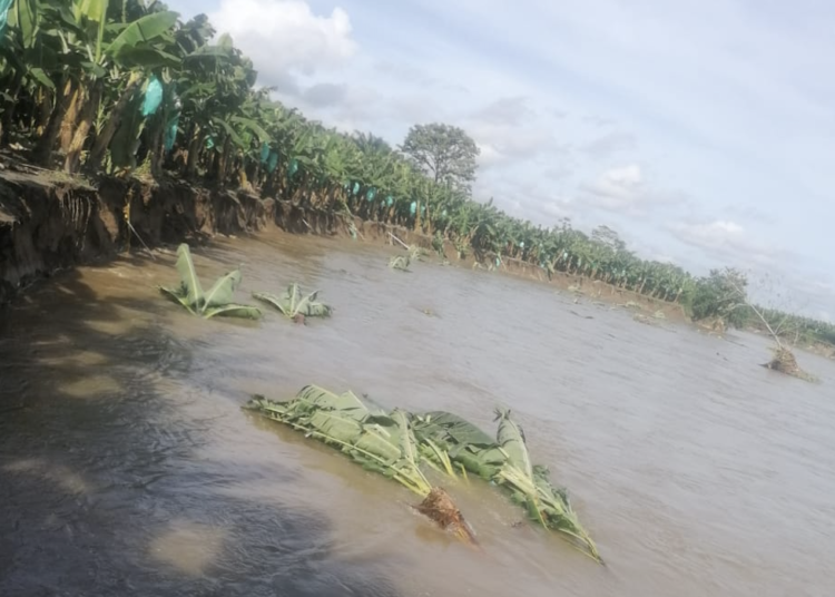 Asbama convoca a la solidaridad por damnificados de ola invernal en Magdalena