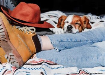 La psicología demuestra que estar relajado genera epifanías