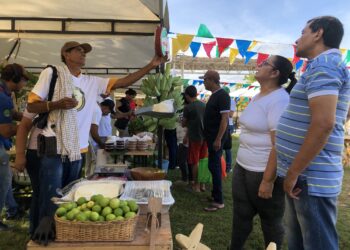 San Sebastián fue epicentro de feria campesina de proyecto E-Commerce