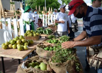 En Santa Ana, agricultores buscan convertirse en empresarios del campo